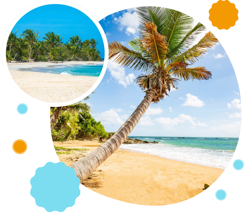 Tropical beach collage featuring palm trees, white sand, and turquoise water.